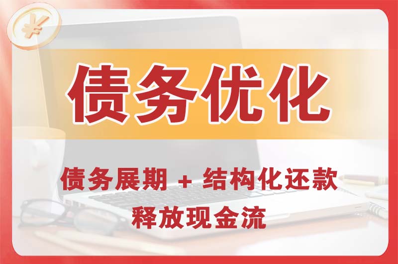 水富债务优化