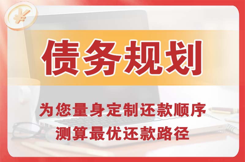 水富债务规划